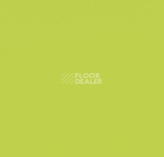 Линолеум Forbo Modul'up 19 dB Colour 868UP4319 lime uni фото 1 | FLOORDEALER